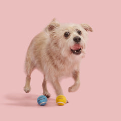 Squeakheart Balls