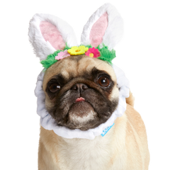 Hare Club Plush Wearable Dog Toy