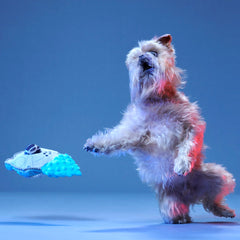 Ultimutt Milennium Falcon™ Plush Multi-Part + Fetch Dog Toy