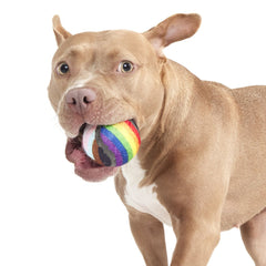Fetch is Fetch