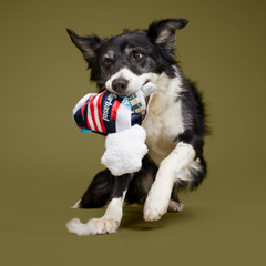 Nedry's Shaving Scheme Plush 2-in-1 Rip and Reveal Dog Toy
