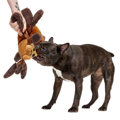 Aragog™ Plush Tug Extra-Large Dog Toy