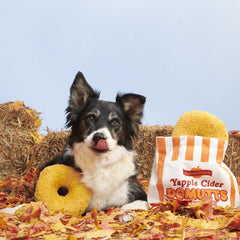 Yapple Cider Domutts Plush Extra-Large + Enrichment + Multi-Part Dog Toy