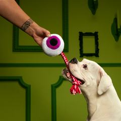 The Part-y Pack Plush Multi-Part + Tug Dog Toy