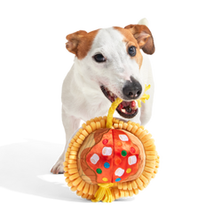 Candy Squeakghetti Plush Tug Dog Toy