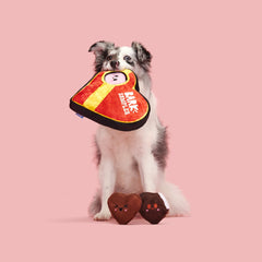 Barks of Chocolates Plush Multi-Part + Enrichment Dog Toy