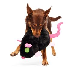 Rat-A-Chewy Plush Extra-Large + 2-in-1 Rip and Reveal Dog Toy