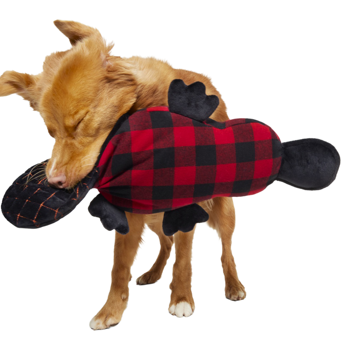 Plaidypus Plush XXL Dog Toy