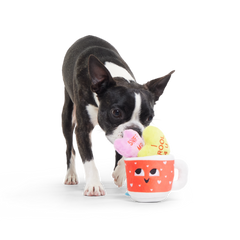 Mugs n' Kisses Plush Multi-Part + Enrichment Dog Toy