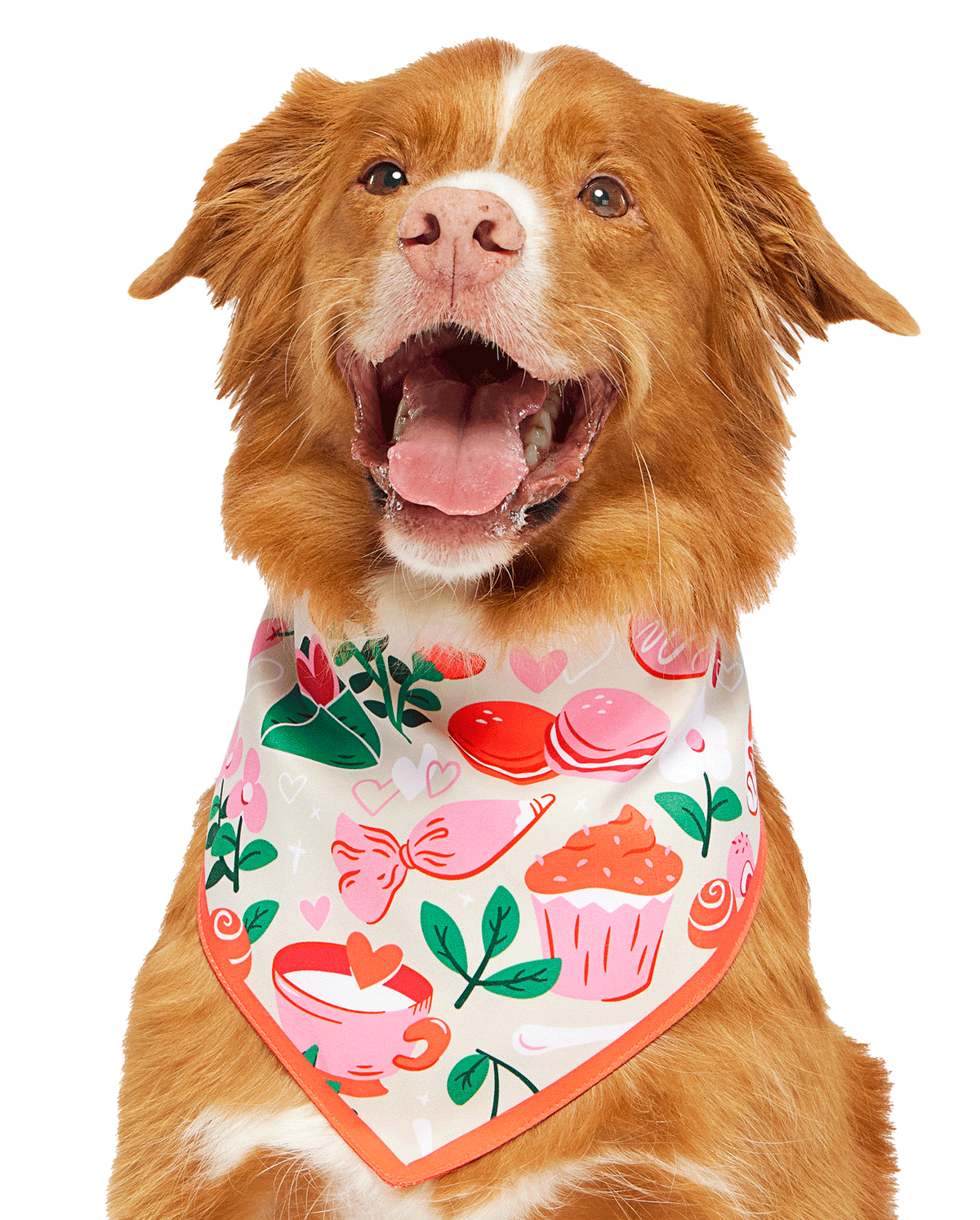 Valentine'S Day Dog Bandana