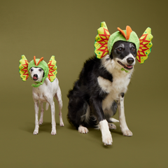 Spittin' Image Dino Collar Plush Wearable Dog Toy