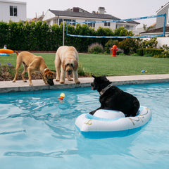 Funboy X Bark Dog Yacht Pool Float