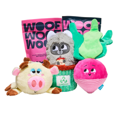 Bark 12 Month Subscription - Free Extra Toys