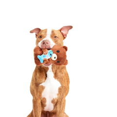 Izzy the Grizzly & Sal Plush Tug Dog Toy