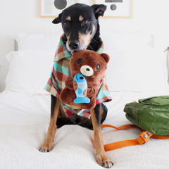 Izzy the Grizzly & Sal Plush Tug Dog Toy
