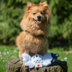 Hedwig™ Plush Tug Dog Toy