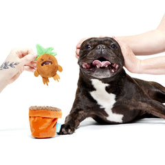 Mandrake™ Plush Tug + Multi-Part Dog Toy