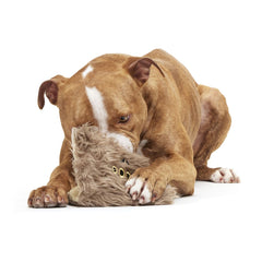 Monster Book of Monsters™ Plush Dog Toy