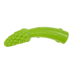 Aspupagus Super Chewer Durable Gnaw Toy