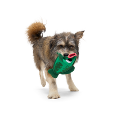 Big Squeak Bass Plush Tug + Enrichment Dog Toy
