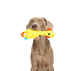 Fozziwig’s Rubber Chicken Plush Tug Dog Toy