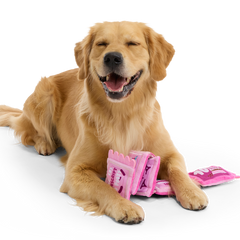 Puppy Love Coupons Plush Tug Dog Toy