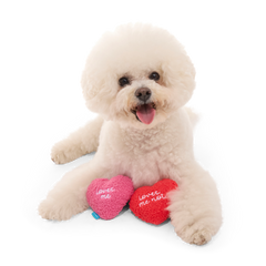 Love Me, Love Me Nots Plush Multi-Part Dog Toy