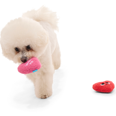 Love Me, Love Me Nots Plush Multi-Part Dog Toy