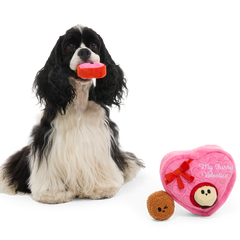 My Furry Valentine Chocolicks Plush Multi-Part + Enrichment Dog Toy