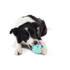 Blueberry Thrill Plush Multi-Part + Fetch + Enrichment Dog Toy