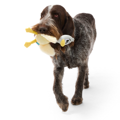Lucy Goosey Plush Tug Dog Toy