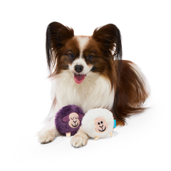 Good Sheep, Baa Sheep Plush Multi-Part Fetch Dog Toy