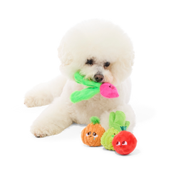 Garden Party Plush Multi-Part Tug + Fetch Dog Toy