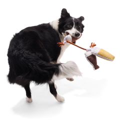 Tug-of-Beers Plush Tug Dog Toy