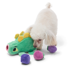 Berry Hungry Bernard Plush Multi-Part + Enrichment Dog Toy