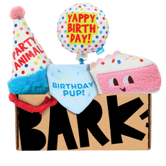 Birthday Barkbox (Toy-Only) - One Month Gift Box