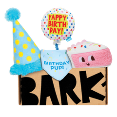 Birthday Barkbox (Toy-Only) - One Month Gift Box