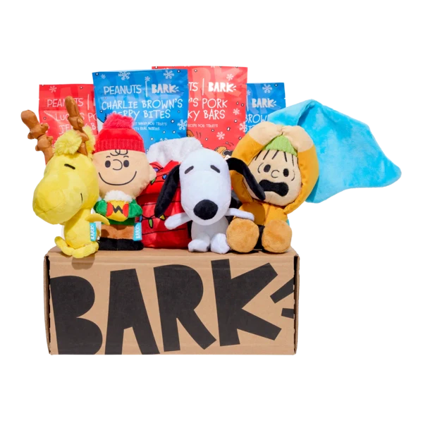 Bark 6 Month Subscription - Peanuts Double Deluxe First Box