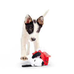 Doghouse Snoopy Plush Multi-Part Dog Toy