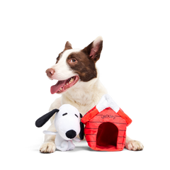 Doghouse Snoopy Plush Multi-Part Dog Toy