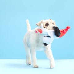 Skating Snoopy Tug Dog Toy