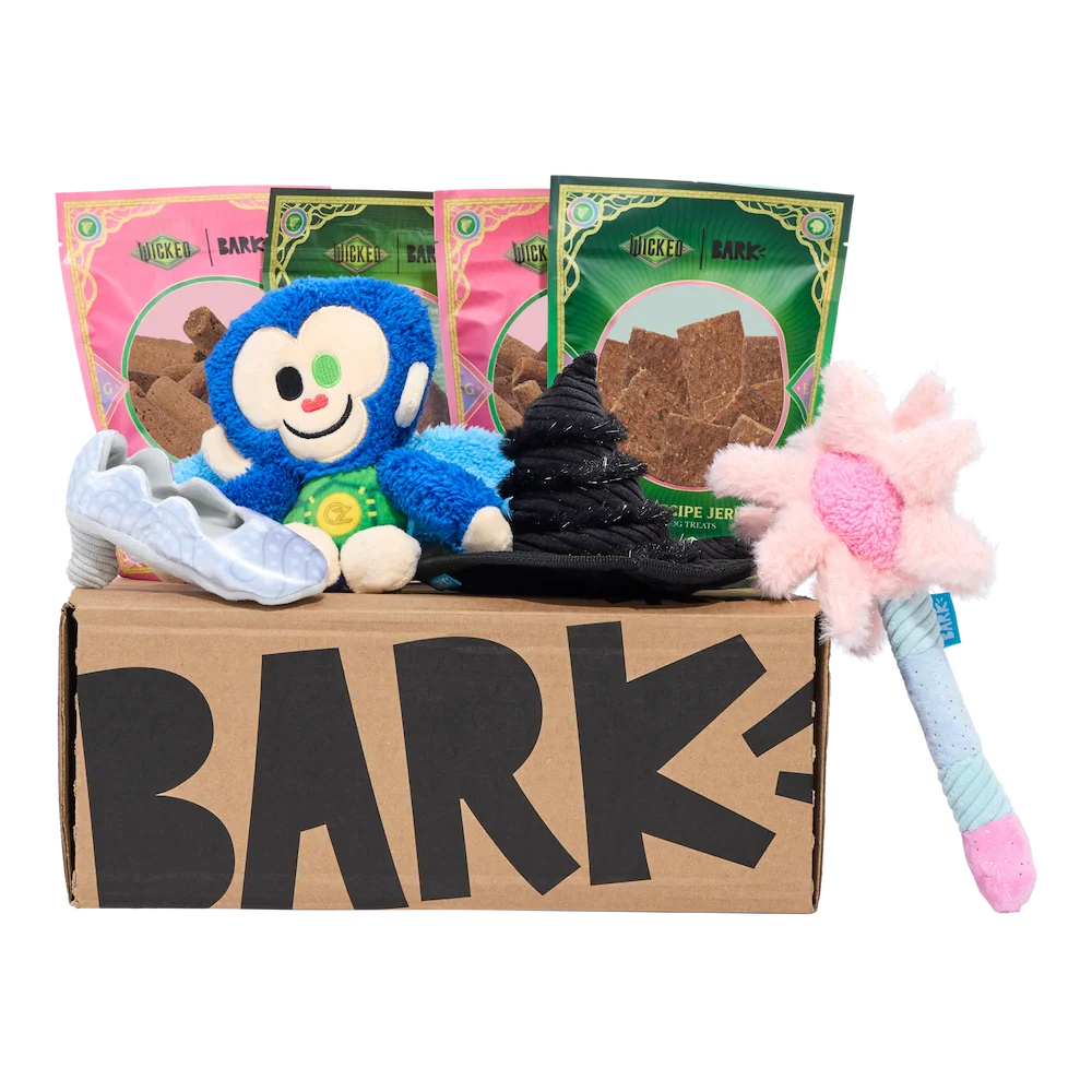 Bark 6 Month Subscription - Wicked Double Deluxe First Box