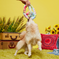 Give Peace a Tug Plush Dog Toy