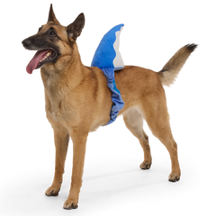 Bark Fin Plush Tug + Wearable Dog Toy