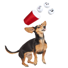 Bark Pong Cup Plush Multi-Part + Fetch Dog Toy