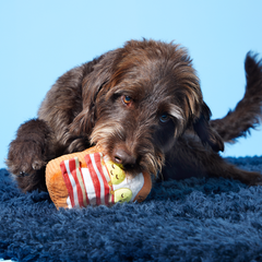 Barkfest In Bed Plush Dog Toy