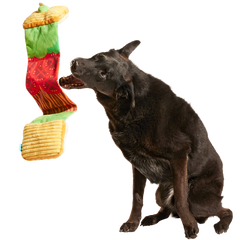 Barkin, Lettuce & Tomutto Plush Tug Dog Toy