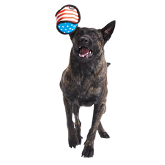Base Brawl Super Chewer Durable 2-in-1 Fetch Dog Toy