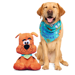 Scooby-Doo™ Bundle Plush Extra-Large Dog Toy