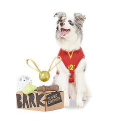 Bark 6 Month Subscription - Harry Potter First Box